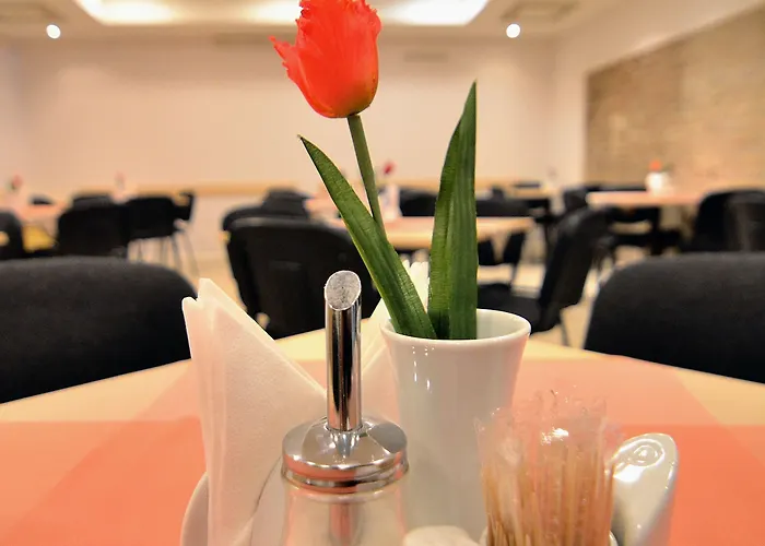 Ivolita فيلنيوس